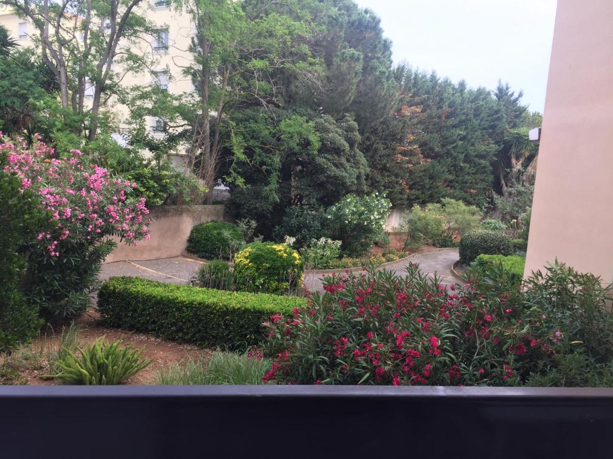 Studio Cabine,4 Personnes ,Renove,Au Calme,200 M De La Plage,Parking Prive Sète Zewnętrze zdjęcie