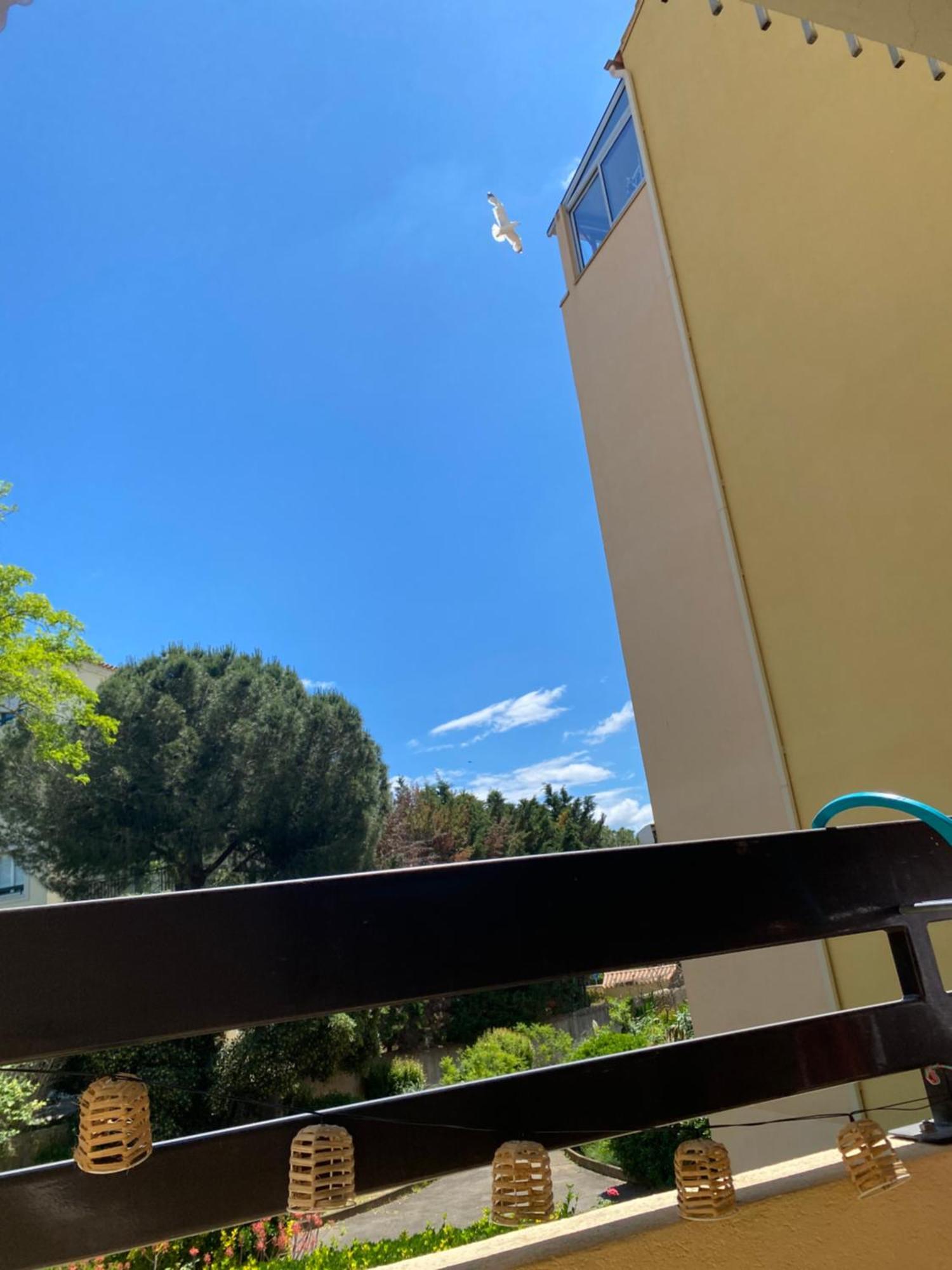 Studio Cabine,4 Personnes ,Renove,Au Calme,200 M De La Plage,Parking Prive Sète Zewnętrze zdjęcie